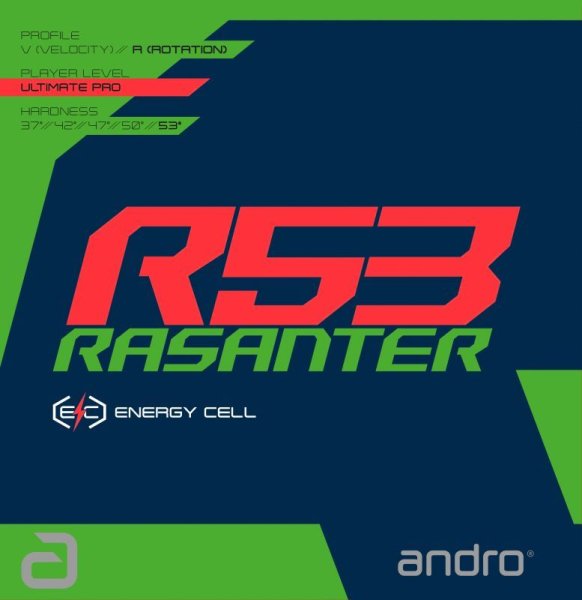 画像1: RASANTER R53 (1)